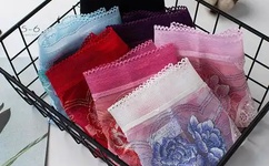 国产又色又爽又黄又免费的小说